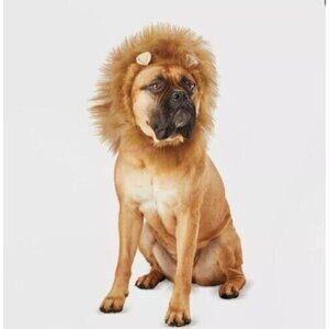 Hyde & EEK! Boutique Lion Ruff Headwear Dog and Cat Costume NEW